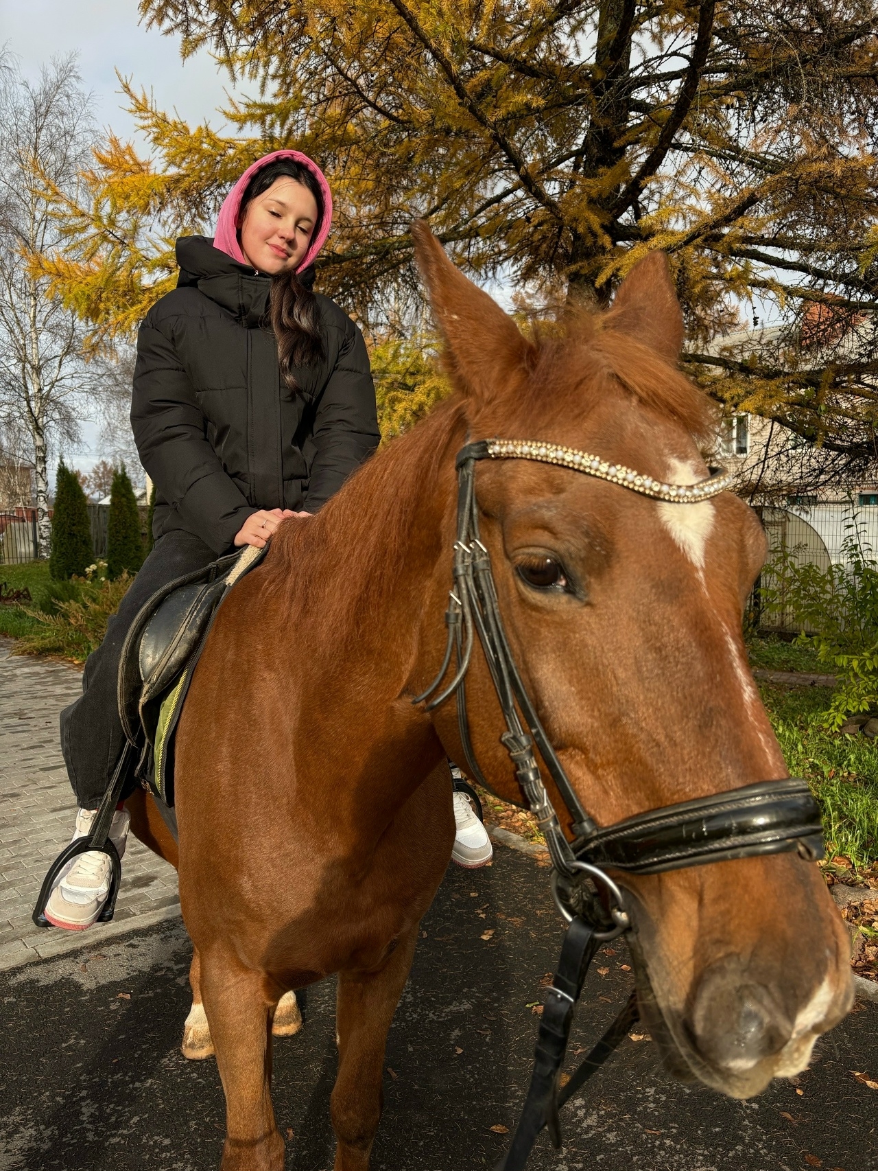 Уроки верховой езды
