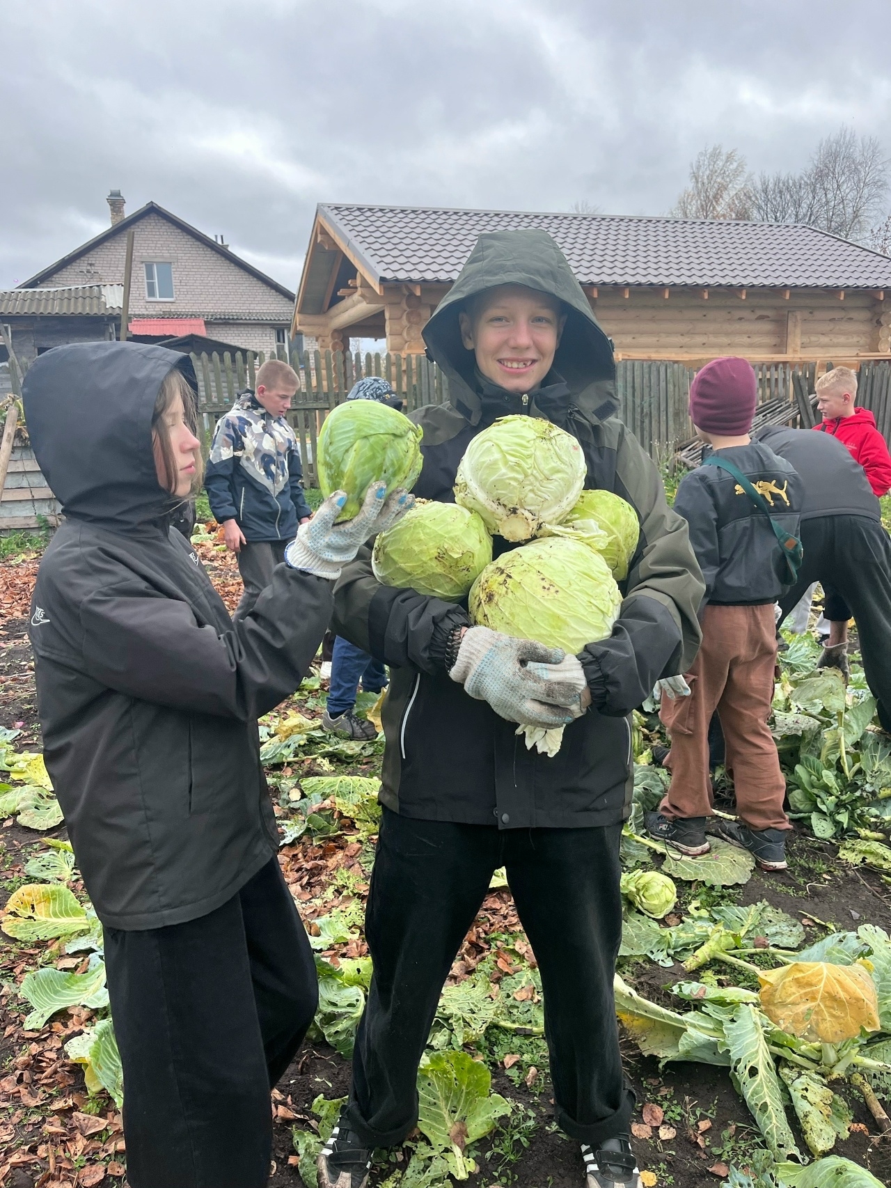 Поздний урожай