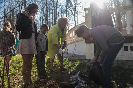 В старинной усадьбе вновь будет цвести жасмин