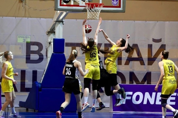 На баскетбольном матче с участием "Вологда-Чеваката"